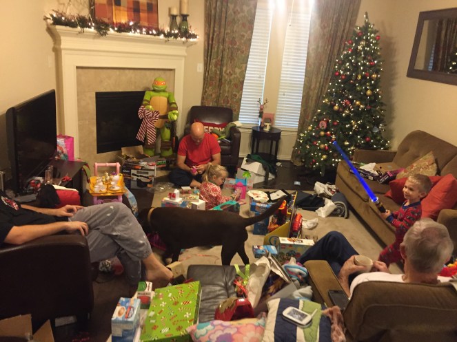 2016-12-25_07-53-47_378